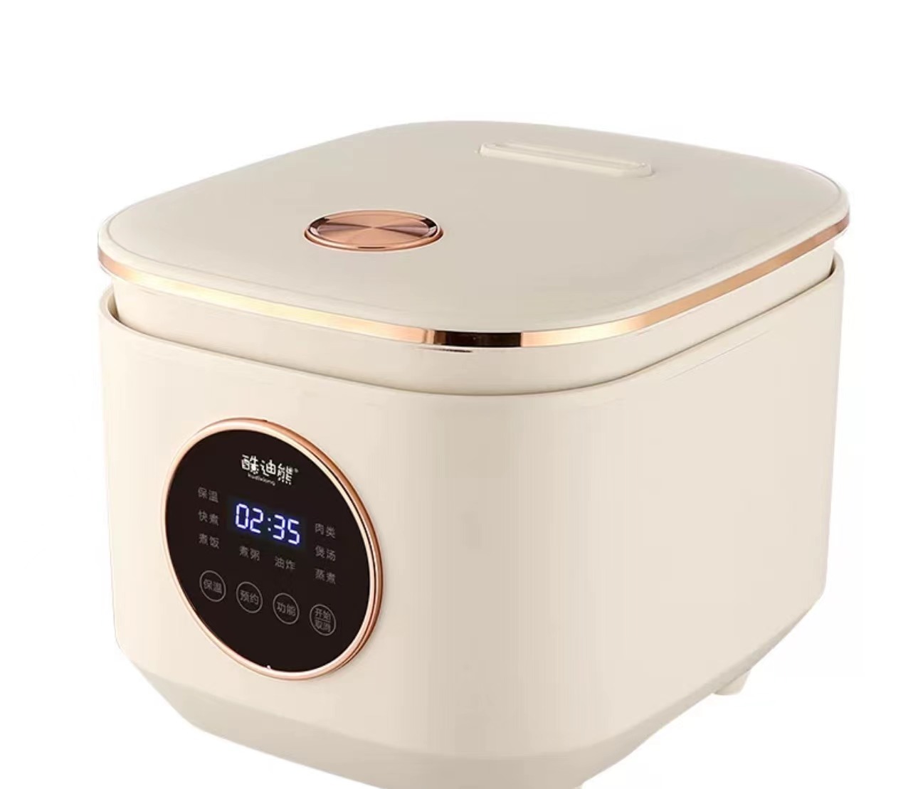 Induction cooker (5)