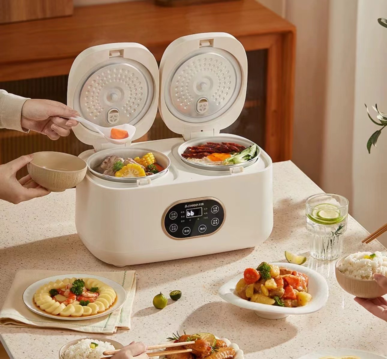 Induction cooker (6)